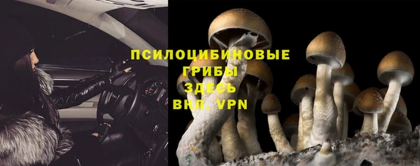 прущие крисы Балабаново