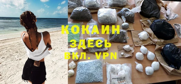 крисы Баксан
