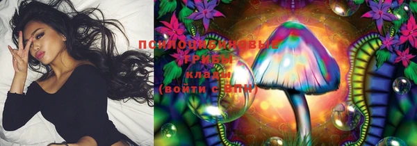 сатива Балахна