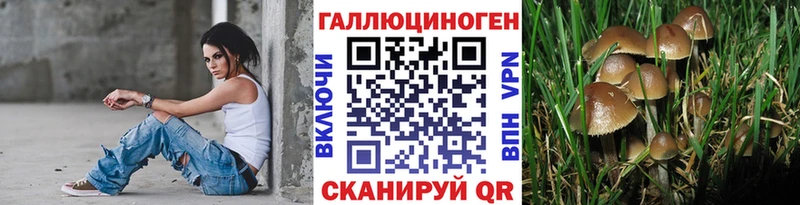Псилоцибиновые грибы прущие грибы  Партизанск 